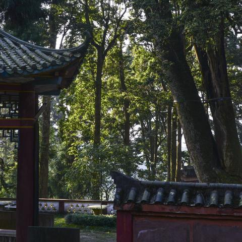 川西畅游指南，新都至雅安旅游攻略，自然美景尽收眼底