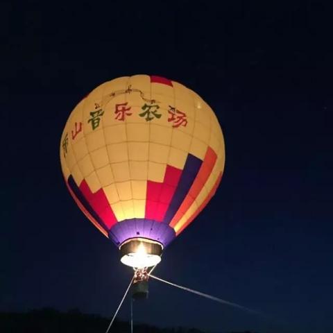 溧水山羊价格行情走势大揭秘，最新分析与观察