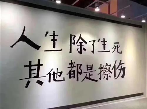 励志生活哲学，探寻挣钱文案背后的智慧之路