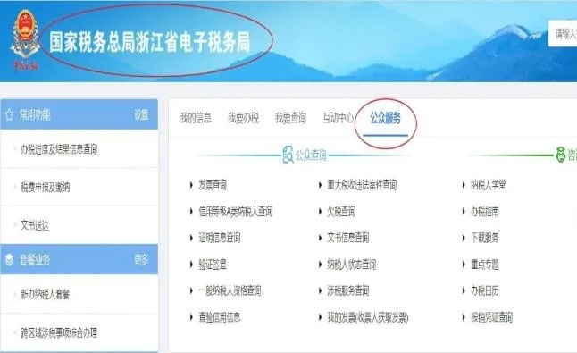 浙江电子税务局一站式服务揭秘，轻松税务，百度一下！