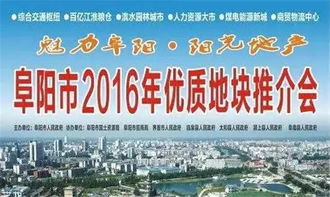 阜阳爱她头条新闻，城市之爱大揭秘，时事热点全聚焦