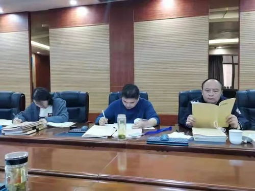泰安盗窃案现场指认最新进展解析，案件动态速递