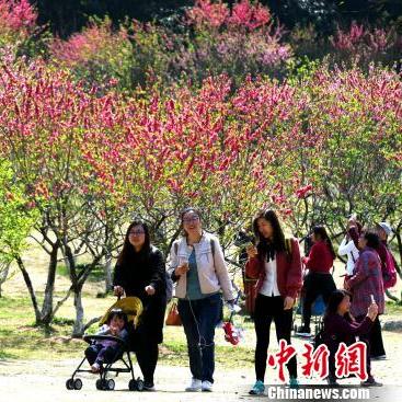 福州春日踏青攻略，拥抱春天的美好怀抱