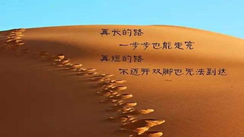 林肯公园励志语录，生命的力量与信念的燃烧