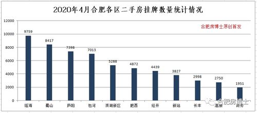 湛江最新房价动态，市场走势分析，购房指南全解析