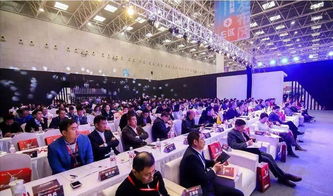启海头条新闻，引领地方新闻风潮，实时传递前沿资讯动态