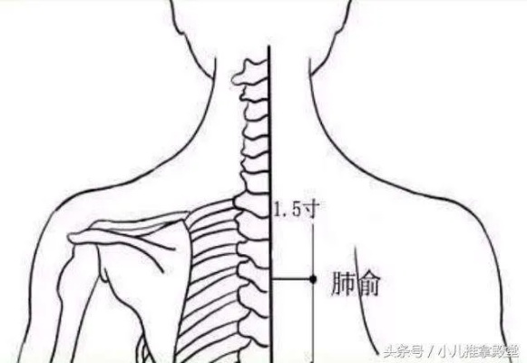 揭秘肺腧穴奥秘，掌握健康秘诀！