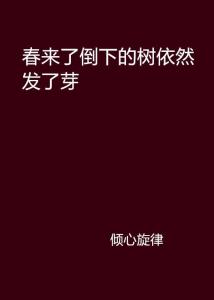 揭秘百度背后的秘密，立雪发的故事与深层含义探索