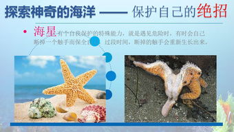 最新旅游话题，探索未知世界的奇妙之旅