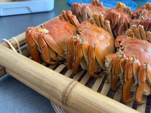 独家揭秘，罗湖大闸蟹探店之旅，美味盛宴即将上演！