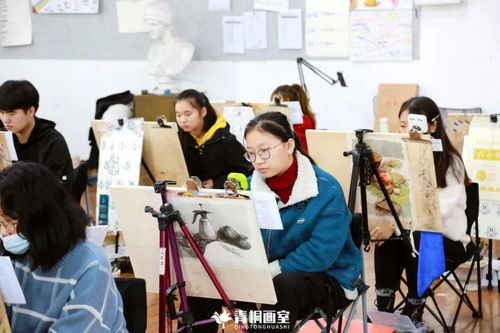 今日城市高考最新动态，学子命运查询，共筑梦想未来之门