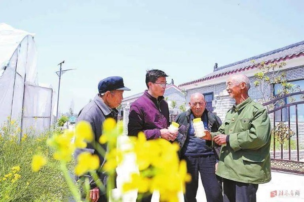 渚河镇王营村掀起乡村振兴新浪潮，新闻头条揭示新篇章