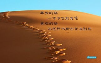 撒老师励志语录，智慧人生的导航灯塔