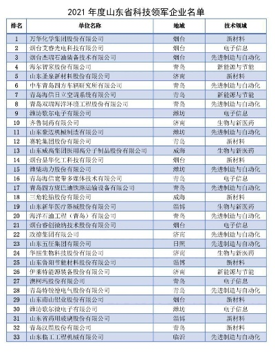 山东靠垫公司排名大揭秘，探寻行业领军者的成功之路