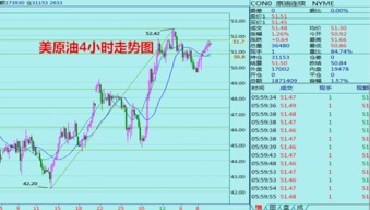 唐河最新金价表揭秘，今日金价、图片及详细解析一网打尽