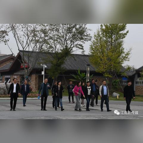 松滋稻谷最新价格行情，市场走势分析与影响因素深度解读