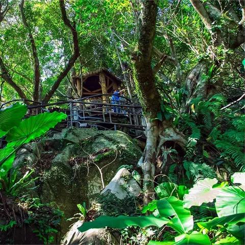 独家首发，海南旅游攻略，热带风情海岛魅力全解析