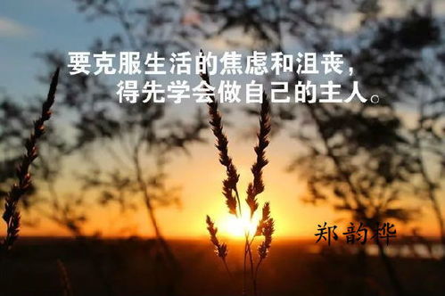 2025年6月26日 第42页