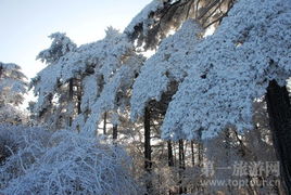 成都冬季旅游攻略，探索周边冬季美景，带你领略冬日风情