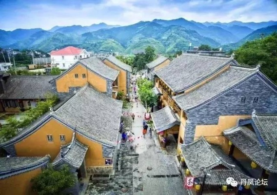 丹凤探秘地方新闻魅力与价值，最新头条一网打尽