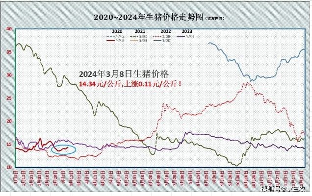 最新消息，今日猪价持续上涨，市场走势如何？
