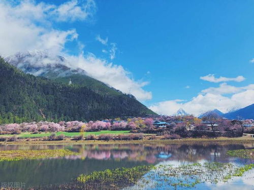 巫山旅游全攻略，探秘自然美景与文化底蕴，一图掌握！