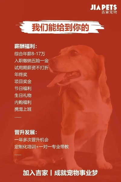 2025年6月28日 第20页