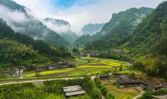 黔江旅游攻略揭秘，山东游客的必选之地！