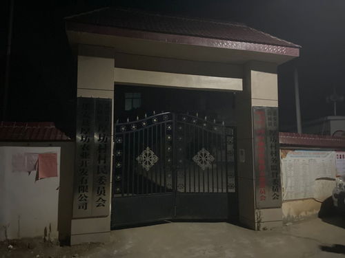铁门头条新闻揭秘，背后的故事引人关注