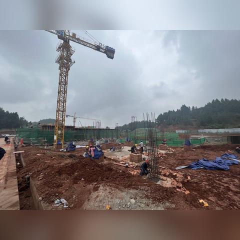 雁江区最新疫情通告解读，防控动态一网打尽