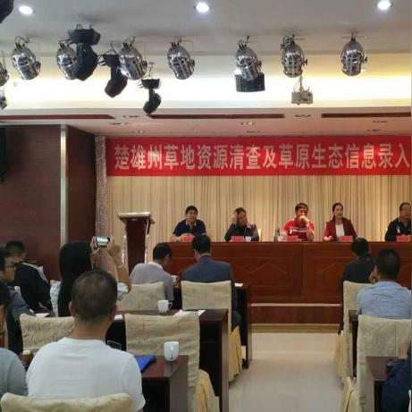 昆明市饲料公司排名及行业影响力剖析