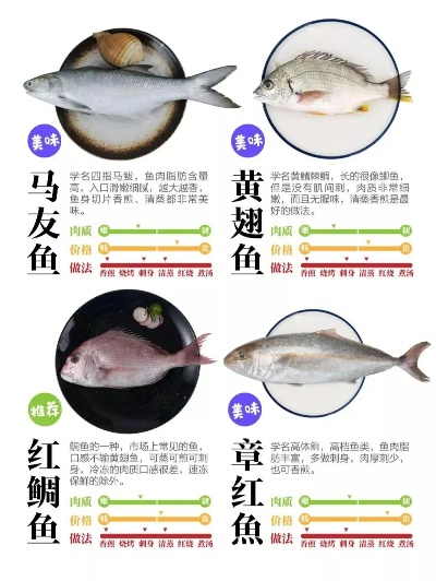 福海鱼价格大揭秘，百度权威解读，让你一目了然！