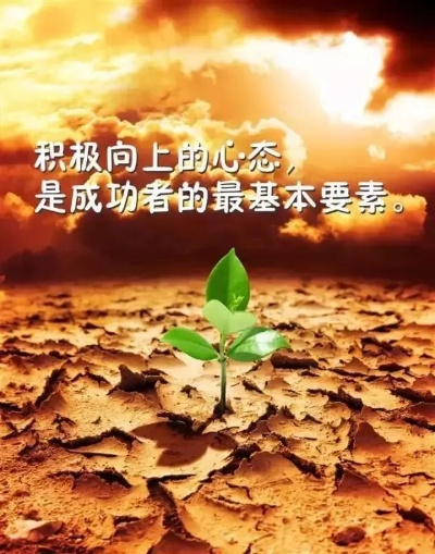 励志语录点燃激情，开启成功之旅，人生启示总结