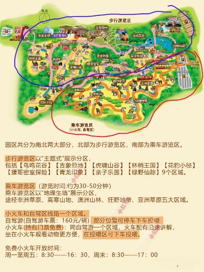 济南野生动物园深度游攻略，探秘野生世界的奇妙之旅