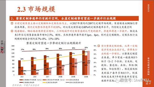 泾渭热点聚焦，时事解读与地域发展深度报道